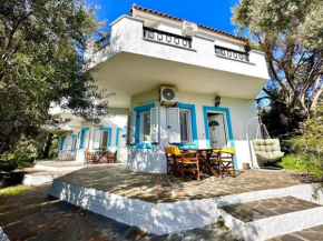 Kampos Olive Grove houses